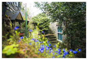 rent a cottage in mousehole abbey place